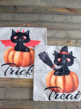 18x18 Halloween Throw Pillow Cases 2 pc.
